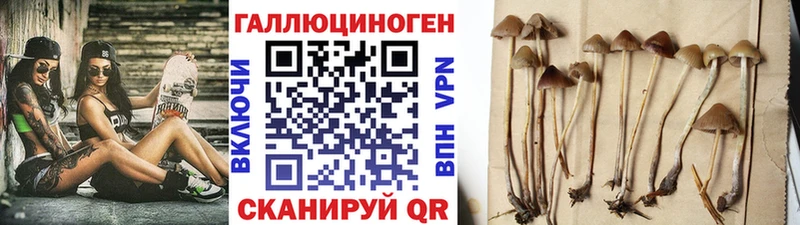 Галлюциногенные грибы MAGIC MUSHROOMS  МЕГА как зайти  Кировград 