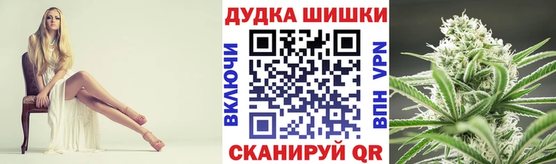 Марихуана план  Кировград 
